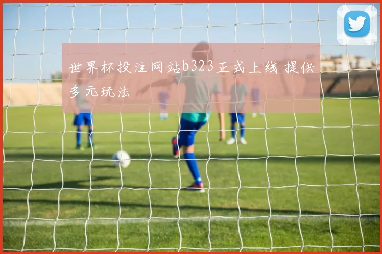 世界杯投注网站b323正式上线 提供多元玩法
